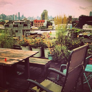 Rooftop garden where I'm staying in New York