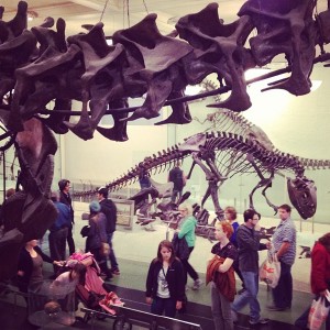 One last Dinosaur picture... #nerd :P