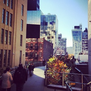 The High Line is awesome!