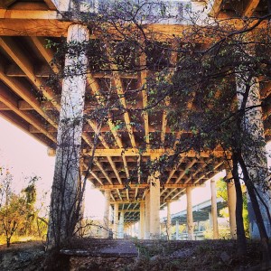 Concrete versus nature
