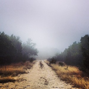 Another foggy day.