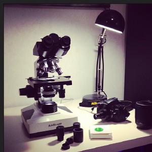 And here it is.... My latest nerd toy. I also got an adapter to take pictures with my camera through it. I'll try hard not to spam you guys with too many microscope pictures. 😅