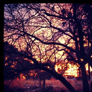 Texas winter sunsets are amazing.