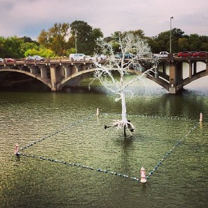 Thirst. An art installation on Town Lake