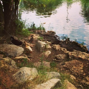 Getting my dose of nature before I head back to the city!