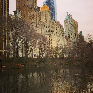 Last week in Central Park