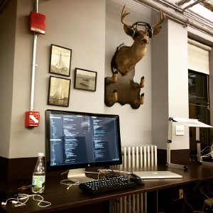 This deer is my peer programming buddy :P