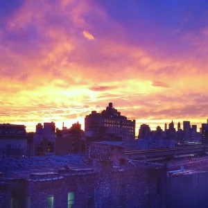 iPhone camera also doing work!
