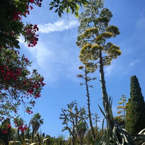 Pinya de Rosa Botanical Garden