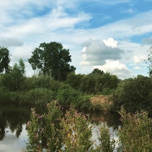 Amsterdam Vondelpark was like a painting ☁️ ☀️ 🌲