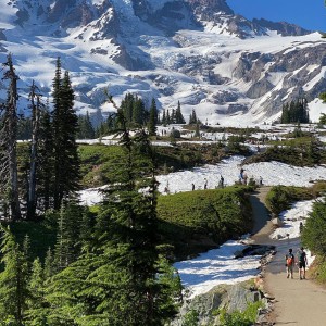 We climbed Skyline Trail at Mt Rainier! It was awesome! 😍