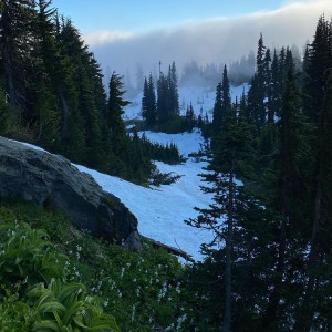 We climbed Skyline Trail at Mt Rainier! It was awesome! 😍